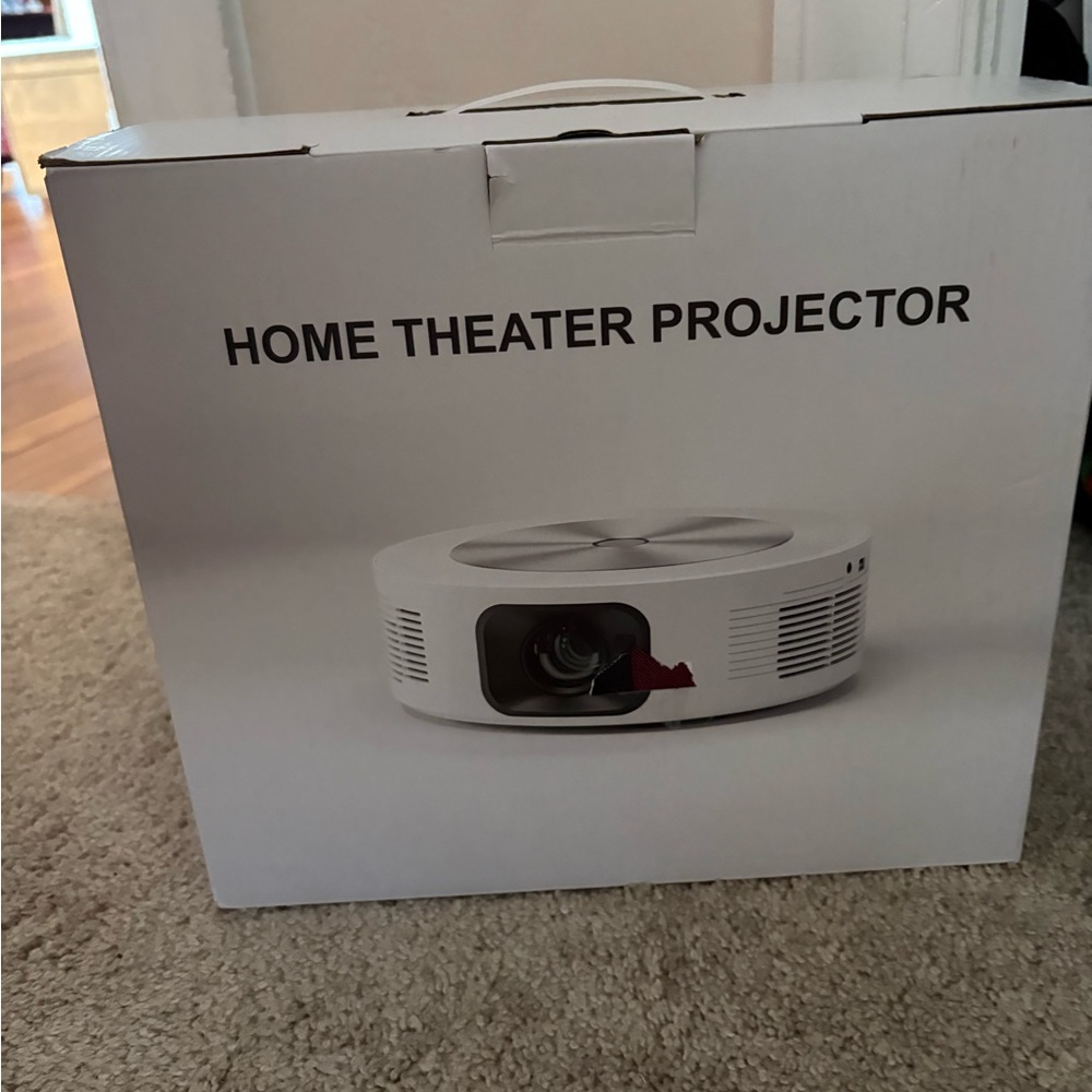 Video projector
